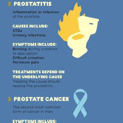 Pump Up Your Knowledge About Prostate Health Visual Ly