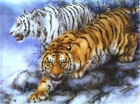 Various cultures throughout europe, asia and africa consider the fox to be a cunning and sly creature that. cool tigers - Animals Photo (31541408) - Fanpop