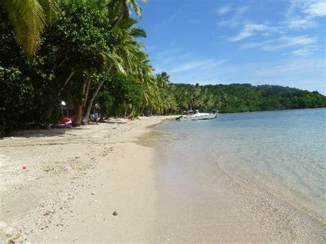 Top Fiji Dive Resorts Explore The Premiere Dive Resorts