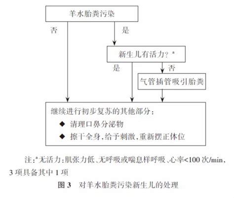 中国新生儿复苏指南（2021年修订）（含复苏流程图）