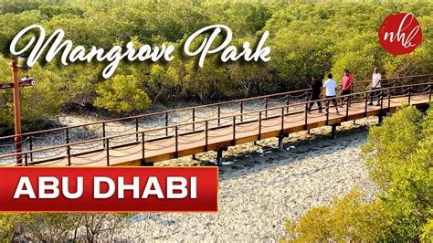 Abu Dhabi Mangrove Park Walk Al Jubail Mangrove Park Uae 4k Youtube