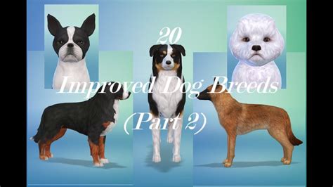 20 Improved Dog Breeds Part 2 Sims 4 Youtube
