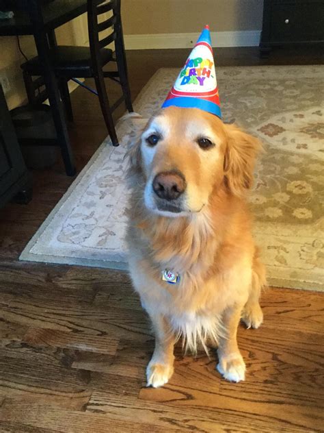 Hat size is 7.67 x 5.31 (w x l). Jack just turned 10 today so we had to give him a birthday ...