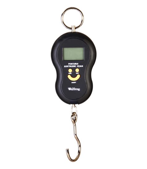Hanging Scales Portable Electronic Scale Model 2 Everest Scales