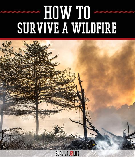 Wildfire Survival Tips How To Survive Natural Disasters