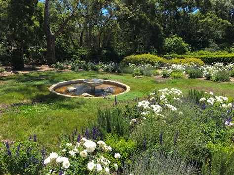 Montecito Landscape Garden Design The Cullen Meadow Eye Of The Day