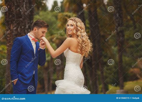 The Groom Kisses The Bride S Hand In The Park Stock Image Image Of