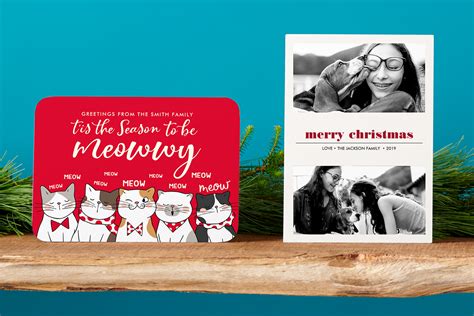 Christmas wishes are being sent your way for a pleasantly frightful day and a delightfully magical night. ﻿Best Pet Christmas Cards for 2019 | Zazzle Ideas