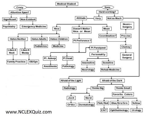 An Algorithm To Choose A Medical Specialty On The Basis Of Your