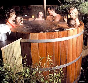 Generally you can say that it is no significant difference between a hot tub and a jacuzzi. Commercial Pool Products: Hot Tub vs Spa vs Jacuzzi - What ...