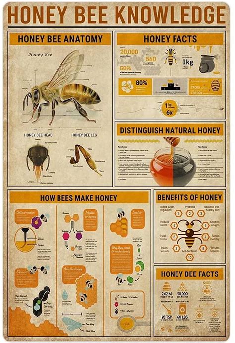 Honey Bee Knowledge Metal Tin Sign Anatomy How Bees Make Honey Retro Poster Wall Art Deco Farm
