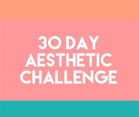 30 Day Aesthetic Challenge Virtual Space Amino