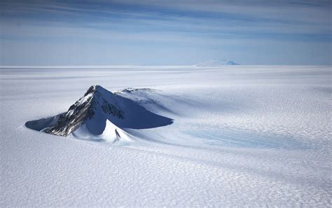 280 Million Year Old Fossil Forest Discovered In Antarctica