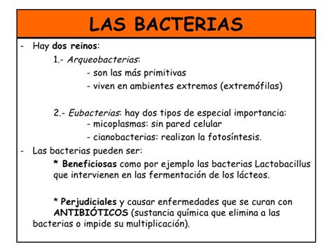Cuadros Comparativos Virus Vs Bacterias Cuadro Comparativo