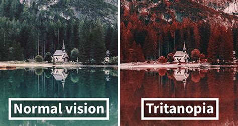 How Colorblind People With Tritanopia See The World — Steemit