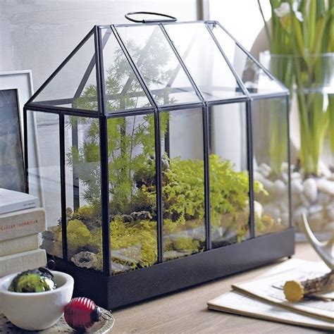These diy mini indoor greenhouses can help you a lot in growing houseplants, herbs, and seedlings in winter and early spring! Crate and Barrel mini greenhouse | Products I Love ...