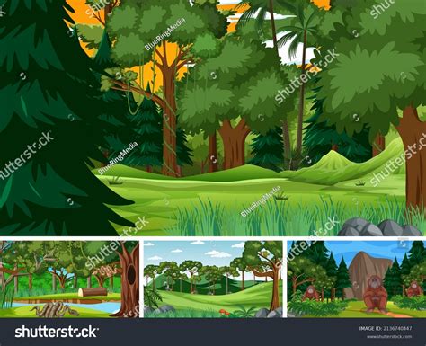 Different Forest Scenes Wild Animals Illustration Stock Vector Royalty