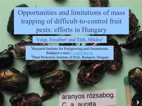 Opportunities And Limitations Of Mass Trapping Of Difficult To Control