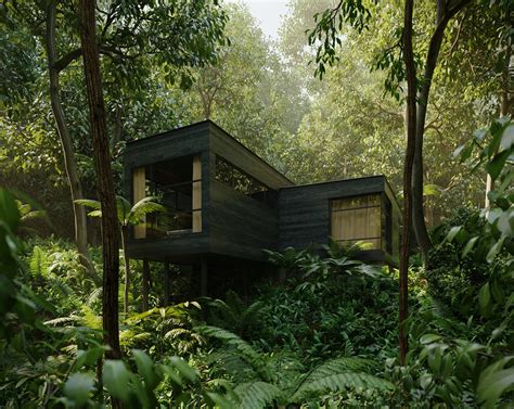 Rainforest House Ubicaciondepersonascdmxgobmx