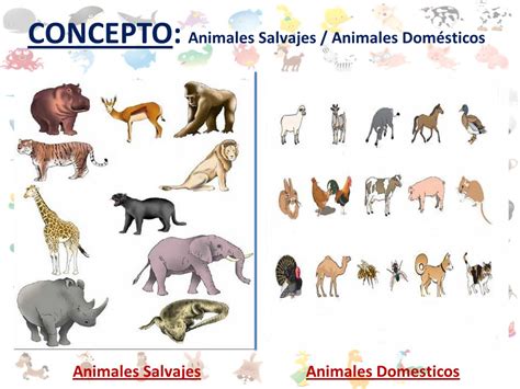 Top 166 Imagenes De Animales Domesticos Y Salvajes Theplanetcomicsmx