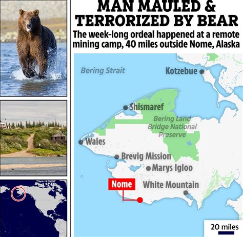 Man Mauled And Terrorized By Bear Every Night For A Week Was Down To Last