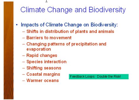 Land Use Change Climate Change And Biodiversity