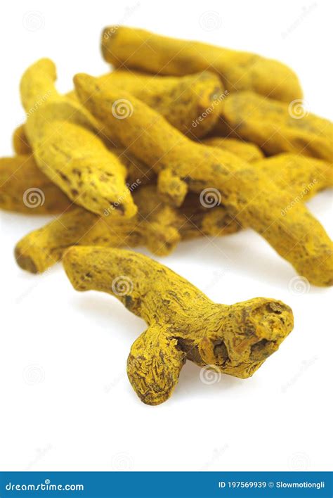 Root Of Turmeric Curcuma Longa An Indian Spice Against White