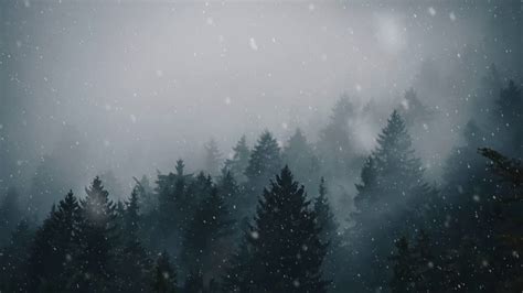 Free Download Animated Forest Snow For Wallpaper Engine 4k 1280x720 C1e