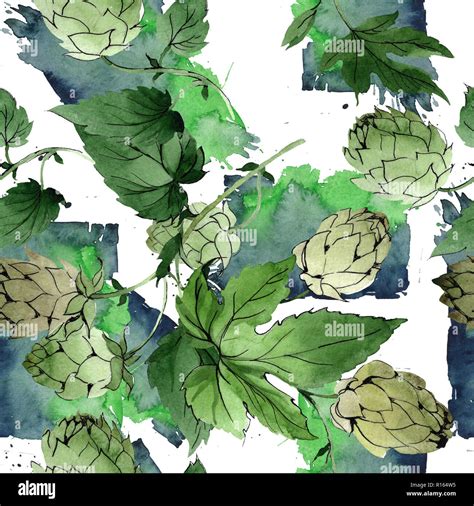 Hops Green Leaf Botanical Garden Floral Foliage Watercolor