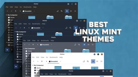 10 Best Linux Mint Themes For Everyone
