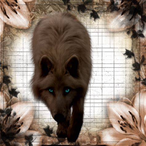Join Gifs Together Wolf Blingee Animated Code Wilsamusti