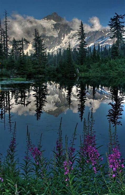 Mount Shuksana Glaciated Massif In The North Cascades National Park