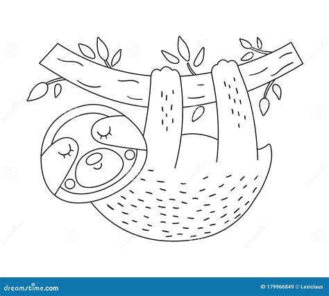Vector Cute Sloth Hanging On A Tree Brunch Outline Funny Tropical