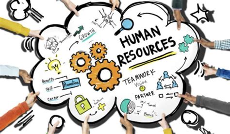 The Functional Areas Of Human Resources Mind Map