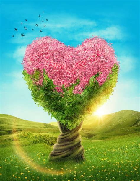 Heart Shaped Tree Stock Image Image Of Dreamy Imagine 48755159
