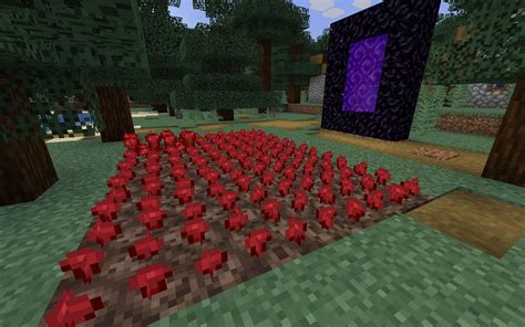 How To Farm Nether Warts In Minecraft 2022