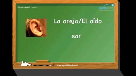 Vocabulario La Cara Aprende Español Youtube