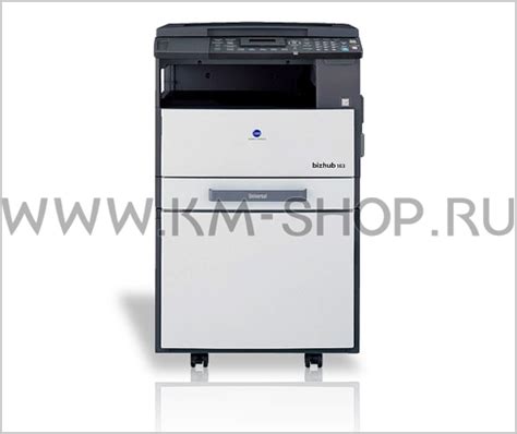 Find everything from driver to manuals of all of our bizhub or accurio products. Konica Minolta bizhub 163