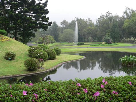 6 Days 5 Nights Jakarta Puncak Honeymoon Tour package – Java Sol Tours