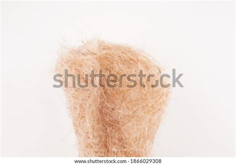 Sanitary Linen On White Background Stock Photo 1866029308 Shutterstock