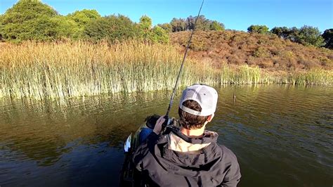 Lake Chabot Bass Fishing 10202018 Youtube