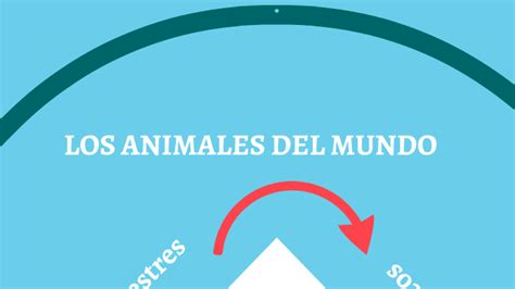 Los Animales Del Mundo By Carmen De Manuel