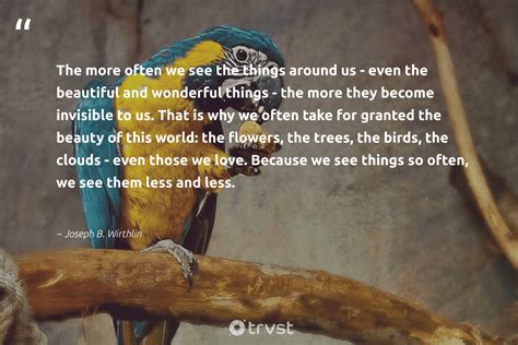 110 Bird Quotes And Sayings About Birds To Inspire And Motivate