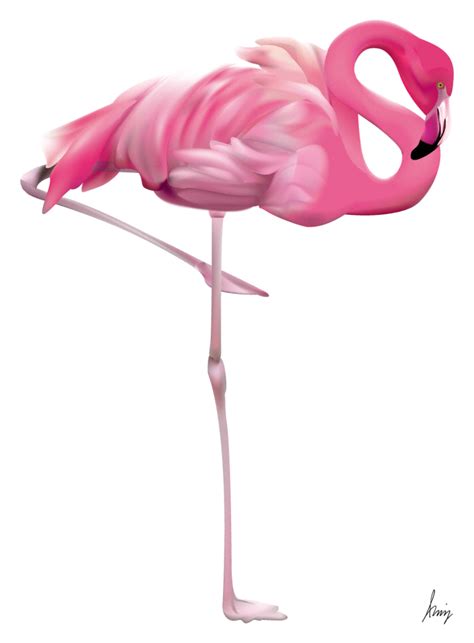 Flamingo Png Transparent Png All