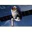SpaceX Dragon Comes Home After Space Mouse Delivery  NBC News