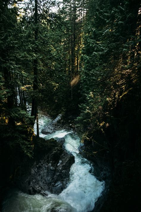 Christopher M Fowler Cascade Falls Fraser Valley Bc March 2019