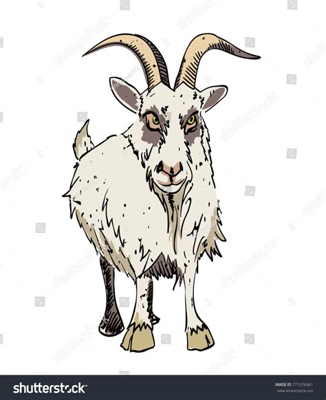 Grumpy Goat Cartoon Image Artistic Freehand Stock Illustration 771576961 Shutterstock