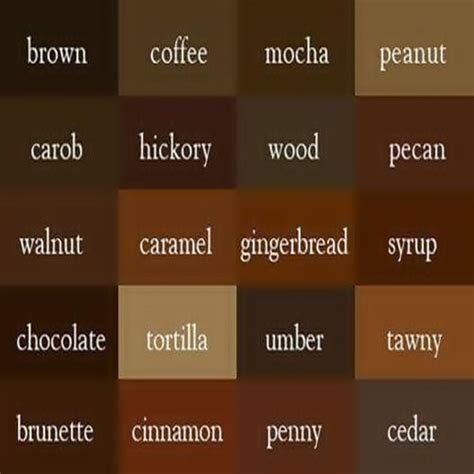 Brown Degrees Color Names Words Brown Shades