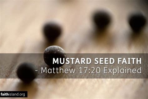 Mustard Seed Faith Matthew 1720 Explained Faith Island