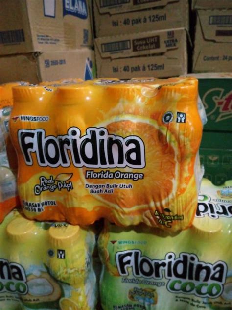 Floridina Orange 350ml 1 Pack Isi 12 Botol Minuman Jeruk Lazada